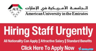 American University Careers