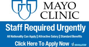 Mayo Clinic Jobs