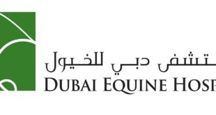 Dubai Equine Hospital Jobs