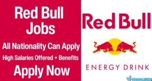 Red Bull Jobs