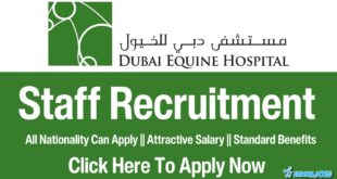 Dubai Equine Hospital Careers