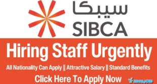 Sibca Jobs